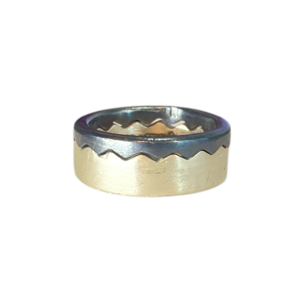 SPLIT POLISHED N DARK RING