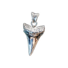 G.W. SHARK TOOTH (SILVER)