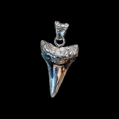 G.W. SHARK TOOTH (SILVER)